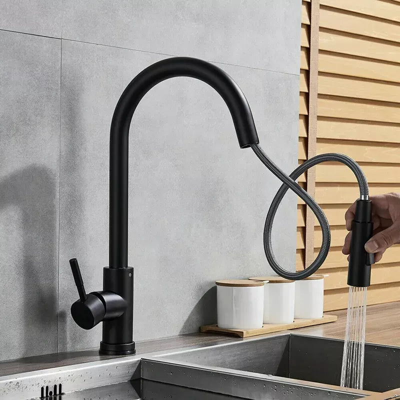 Kitchen Faucet with Pull-Out Sprayer