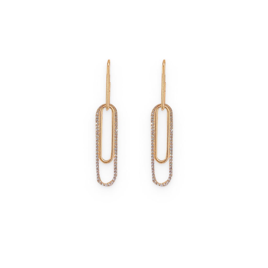 Oblong Shiny Earrings