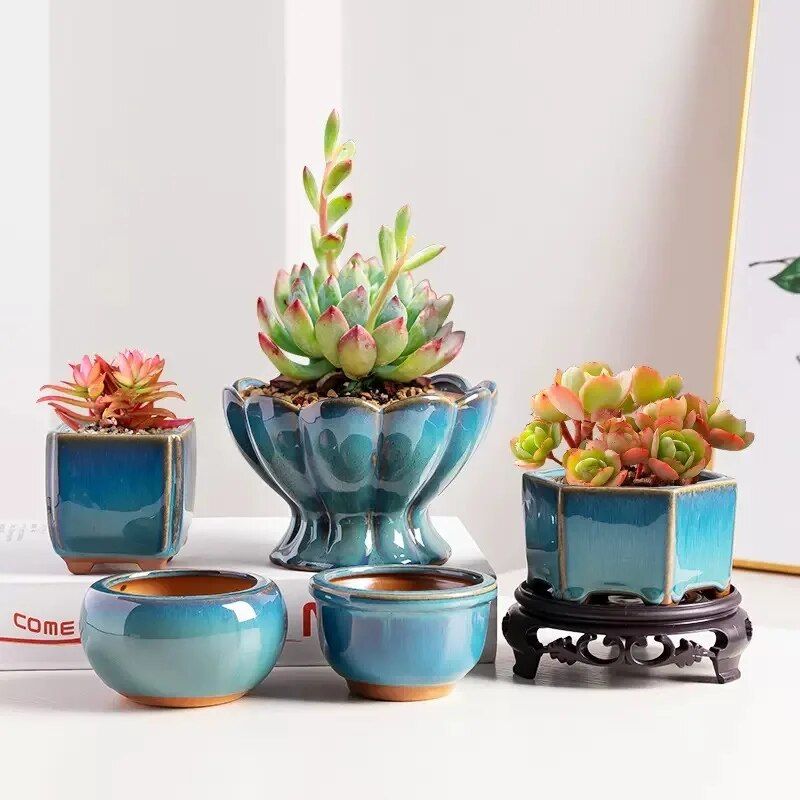 Elegant Glazed Ceramic Pots for Succulents and Small Plants