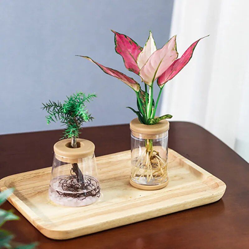 Mini Hydroponic Flower Pot Home Vase Decor