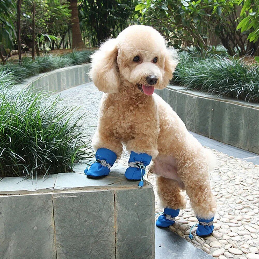 Premium Dog Shoes