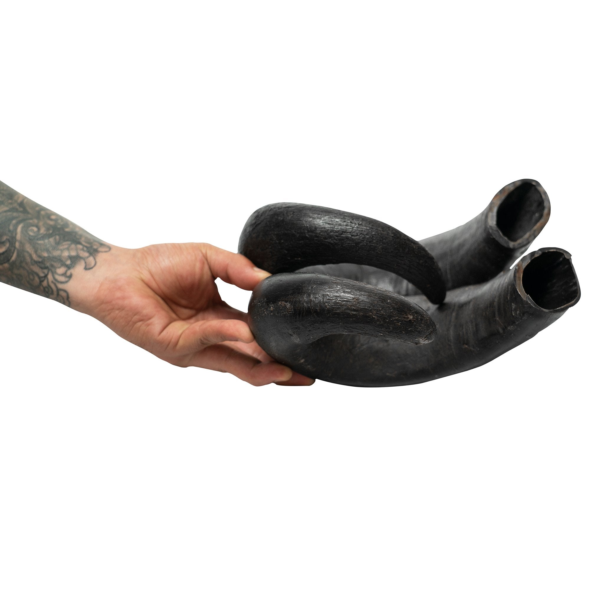 WATER BUFFALO HORN-100% Natural, Long-Lasting, Grain-Free,