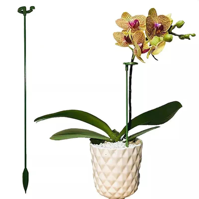 Single Stem Flower Stand