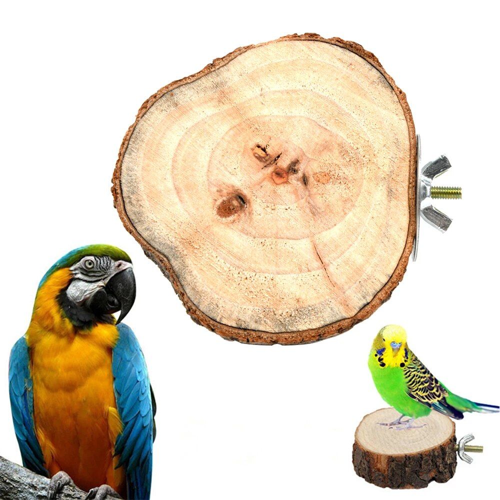 Natural Wooden Bird and Small Pet Perch