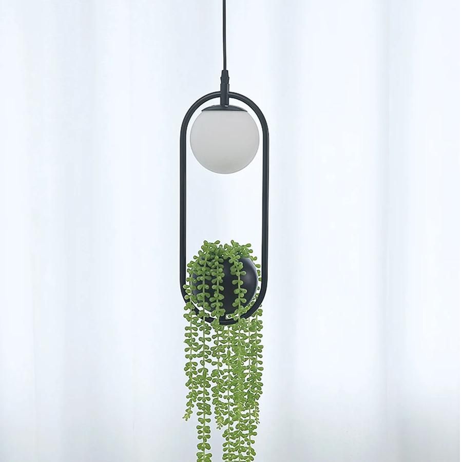 Elegant DIY Ring Plant Pendant Light