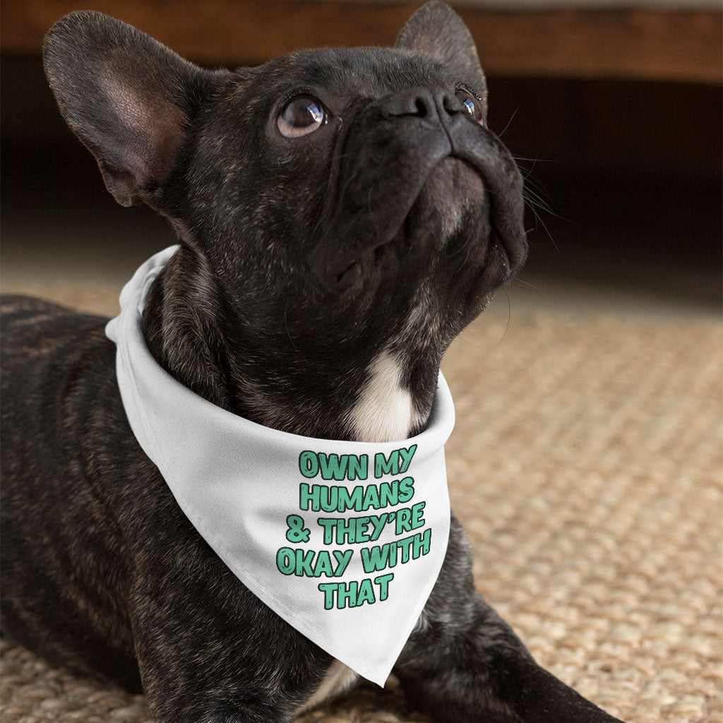 Funny Pet Bandana - Printed Dog Bandana - Cool Pet Scarf