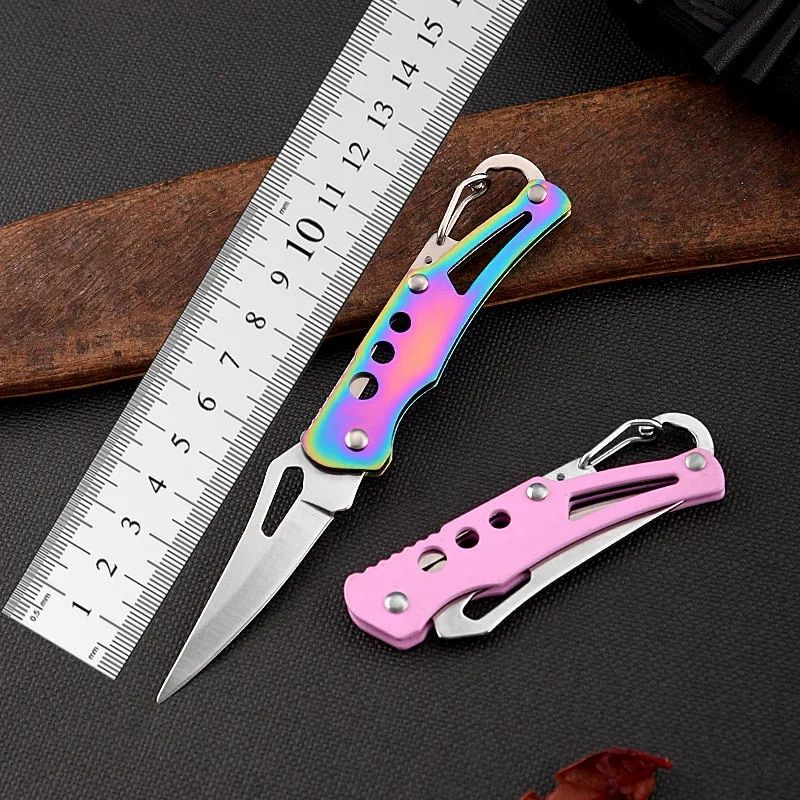 Compact Stainless Steel Folding Knife