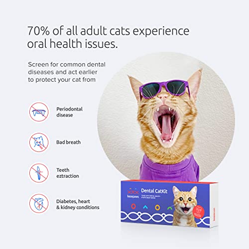 Basepaws Cat Dental Health Test | Provides Risk Scores for Dental Conditions: Periodontal Disease, Bad Breath, Tooth Resorption | Report Provides Personalized Health Care