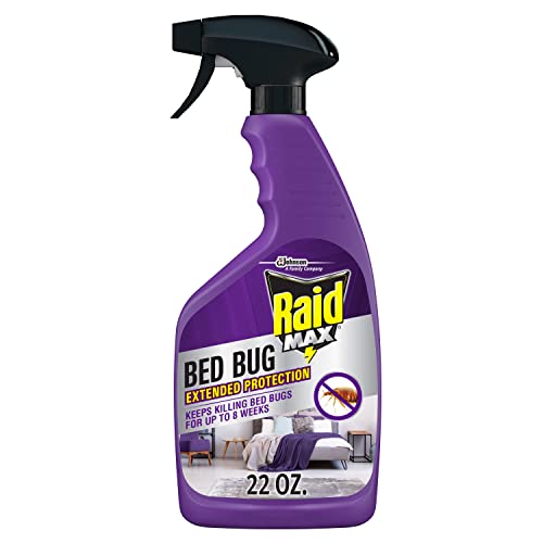 Raid 305735, 22 Fl Oz (Pack of 1)