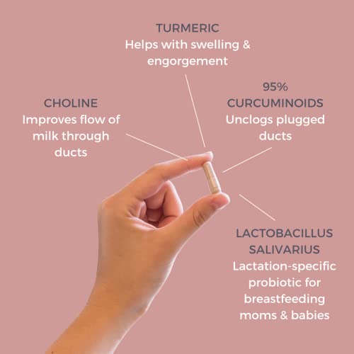 Holistic Lactation® Lactation Flow Formula (60 Servings), Supplement to Support Breastmilk Flow & Milk Supply, Contains Breastfeeding Probiotic and Choline, Lecithin-Free