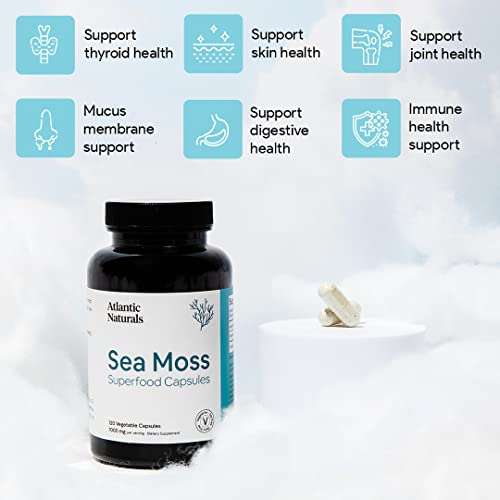 Atlantic Naturals Organic Sea Moss Capsules | Immune System, Thyroid Health, Beautiful Skin and Digestion Supplement | 120 Irish Sea Moss Capsules | Better Than Sea Moss Gel and Sea Moss Powder