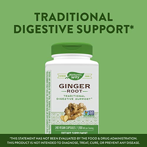 Nature's Way Ginger Root, Traditional Digestive Support*, 1,100 mg, 240 Vegan Capsules