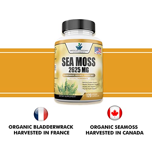 Organic Sea Moss 2625mg, Seamoss, Hand Harvested, Irish Moss Bladderwrack and Burdock Root, Sea Moss Capsules, Irish Sea Moss Alternative To Sea Moss Powder, Sea Moss Gel, 120 Vegan Capsules