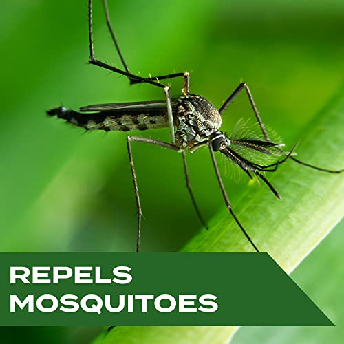 Stem Repels Mosquitoes: Mosquito Repellent Spray With Botanical Extracts; 4 fl oz (Pack of 3)