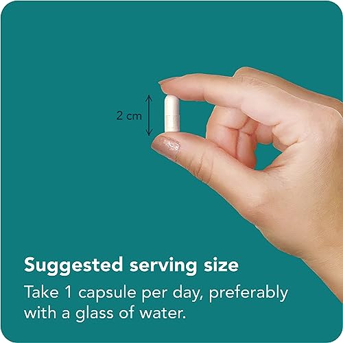 Vitamin Bounty Prebiotic Fiber Digestive Support - Gut Health Supplements for Women and Men, Dietary Fiber, Supports Digestive Health, Probiotics for Women & Men for Gas Relief - 60 Capsules