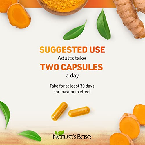 Turmeric and Ginger Supplement - Tumeric Curcumin Joint Support Pills - with Apple Cider Vinegar & BioPerine Black Pepper - 95% Curcuminoids - 60 Capsules