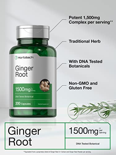 Ginger Root Capsules 1500 mg | 200 Pills | DNA Tested, Non-GMO, Gluten Free | Ginger Root Extract | by Horbaach