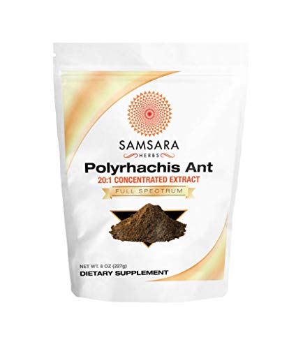 Samsara Herbs Polyrhachis Ant Extract Powder - 20:1 Concentrated Extract (8oz/227g)