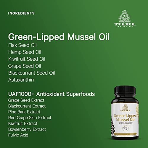 Turner Omega-3 New Zealand Green Lipped Mussel Oil, 53x Higher Potency with UAF1000+ Super Antioxidant for Superior Joint Comfort & Mobility, No Fishy Aftertaste, 1 Bottle, 60 Softgels