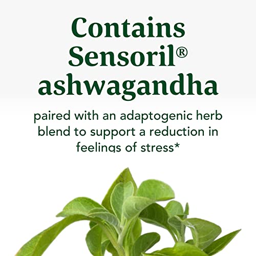 MegaFood Stress Protect with Ashwagandha & Herb Blend -Supports Healthy Stress Response - Rhodiola Root, Vegetarian, Non-GMO, Gluten-Free - Made Without 9 Food Allergens - 60 Tabs (30 Servings)