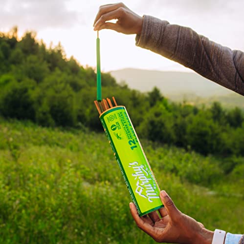 Murphy's Naturals Mosquito Repellent Incense Sticks | DEET Free with Plant Based Essential Oils | 2.5 Hour Protection | 12 Sticks per Carton | 2 Pack