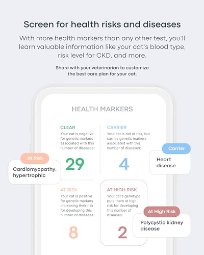 Basepaws Cat Dental Health Test | Provides Risk Scores for Dental Conditions: Periodontal Disease, Bad Breath, Tooth Resorption | Report Provides Personalized Health Care