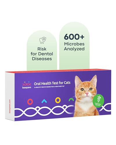 Basepaws Cat Dental Health Test | Provides Risk Scores for Dental Conditions: Periodontal Disease, Bad Breath, Tooth Resorption | Report Provides Personalized Health Care