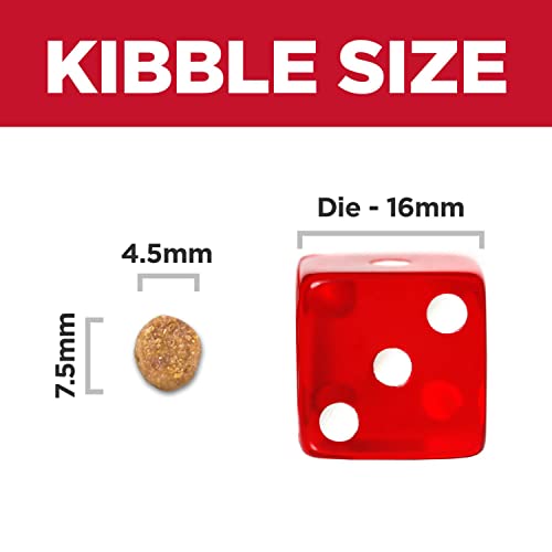 Hill's Science Diet Adult Perfect Weight Small & Mini Chicken Recipe Dry Dog Food, 12.5 lb. Bag