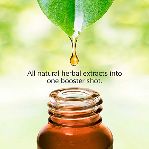 Naturin2 Herbal Tonic Health Drink (1 Box, 6 Vials)