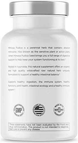 Amen Organic Mimosa Pudica Seeds Capsules, 2 Month Supply, Vegan Mimosa Pudica Seed Plant Supplement - Mimosine Sensitive Plant Pills - Fat Soluble Dietary Supplement - Non-GMO & Vegan - 120 Capsules