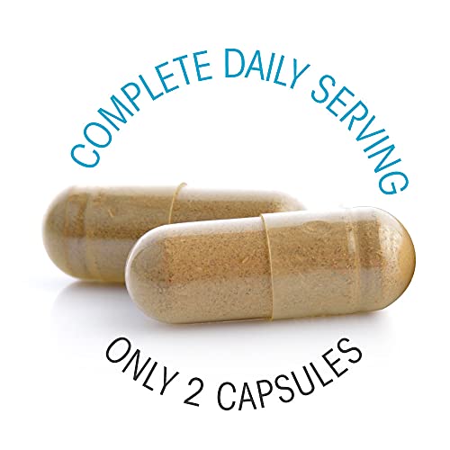 Silver Fern Whole Food Daily Multi Vitamin w/Trace Mineral Blend Supplement - 1 Bottle - 60 Vegicaps - 30 Day Supply - Natural, Non-GMO, Vegan, Men's & Women's Multivitamin - Zero Synthetics