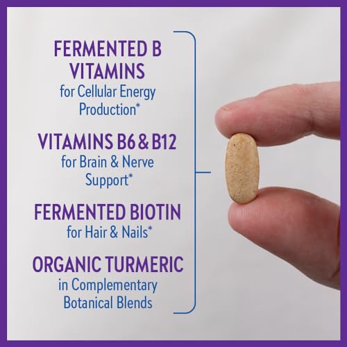 New Chapter Vitamin B Complex – Fermented Coenzyme B Complex Rich in Vitamin B12 + Vitamin B6 + Biotin + Made with Organic Ingredients - 90 ct