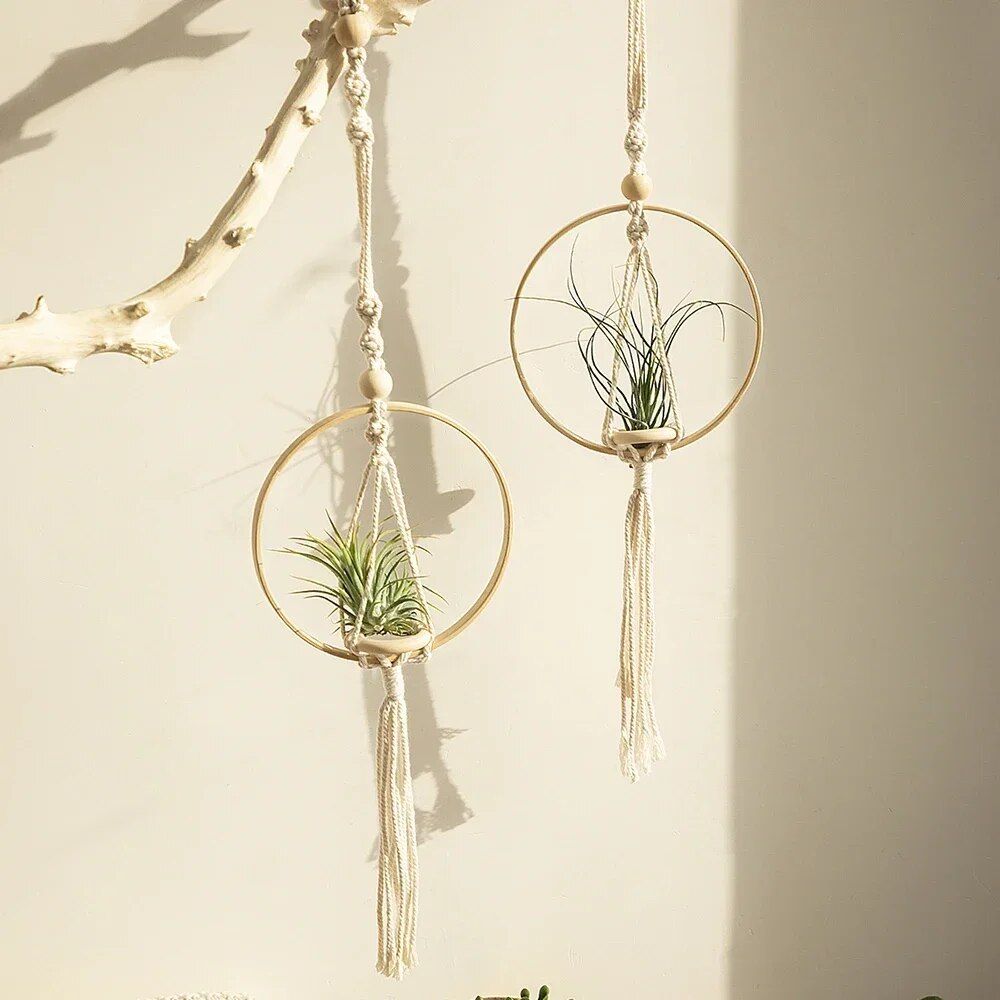 Boho Chic Macrame Air Plant Hanger