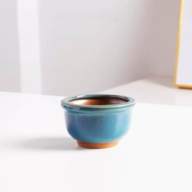 Elegant Glazed Ceramic Pots for Succulents and Small Plants