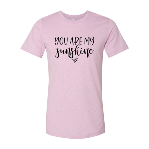 DT0079 You Are My Sunshine Shirt