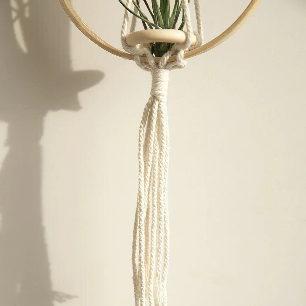 Boho Chic Macrame Air Plant Hanger