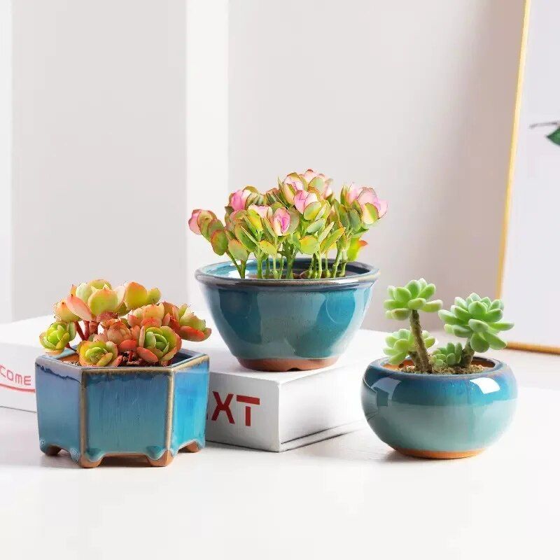 Elegant Glazed Ceramic Pots for Succulents and Small Plants