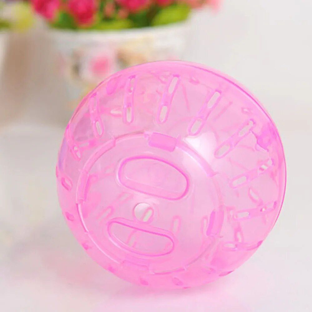 Crystal Clear Hamster Exercise Ball