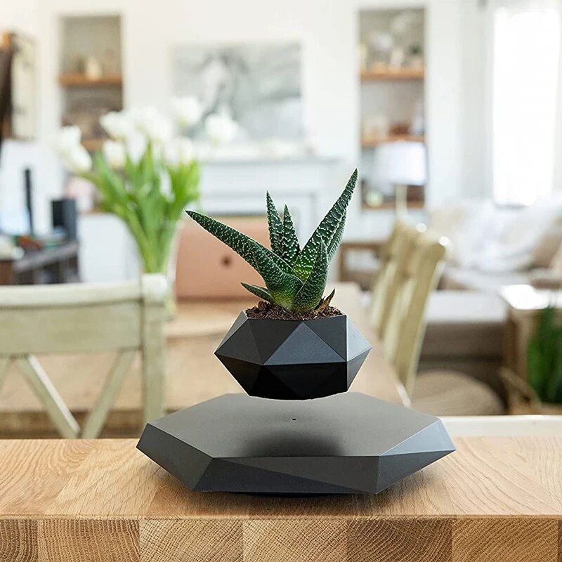 Floating Plant Pot Levitating Plant Pot for Succulents