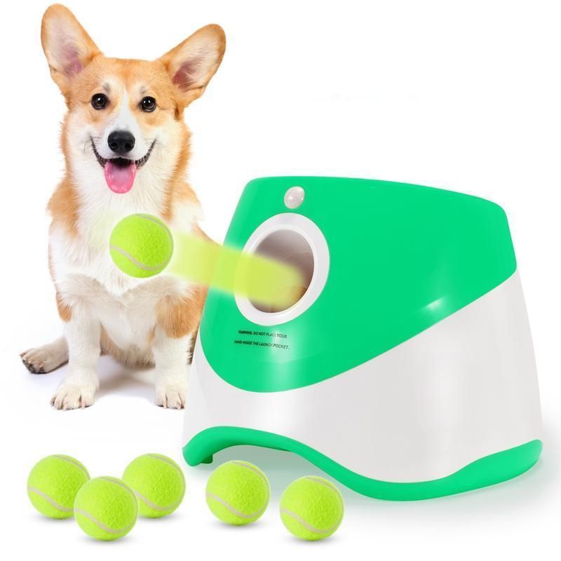 Interactive Dog Ball Launcher