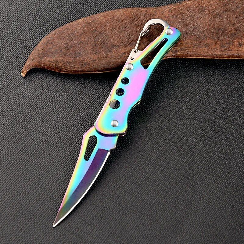 Compact Stainless Steel Folding Knife