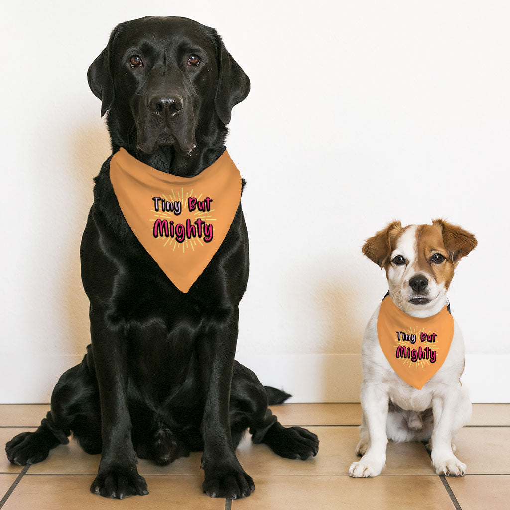 Tiny but Mighty Pet Bandana Collar - Art Scarf Collar - Word Art Dog Bandana