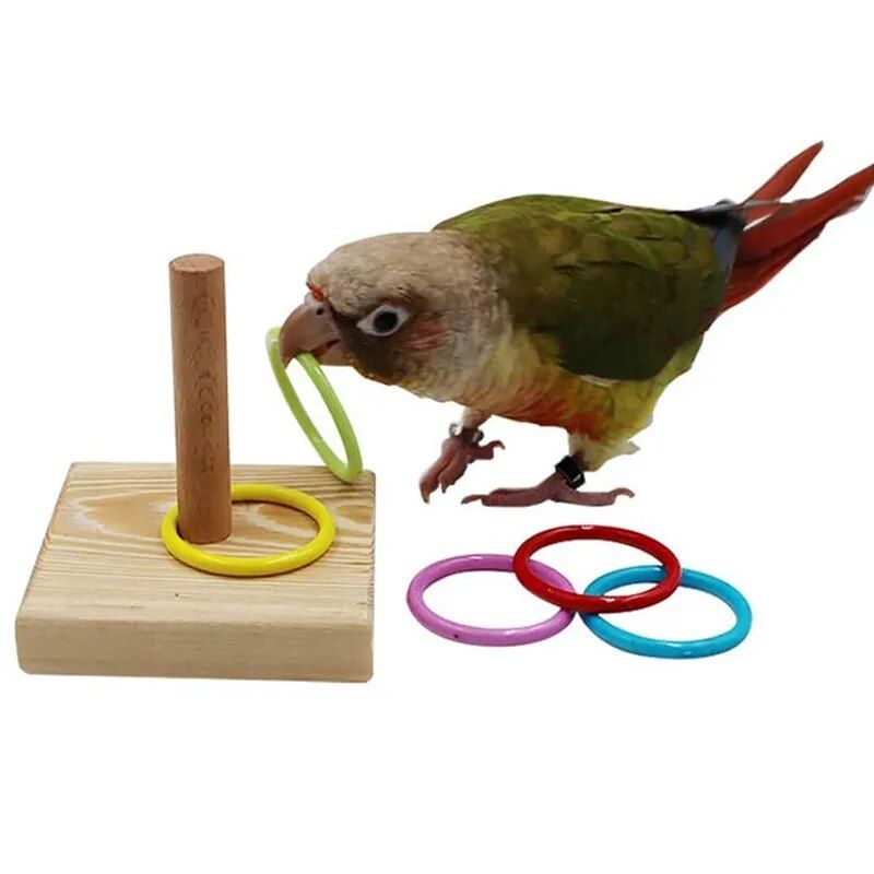 Colorful Parrot Puzzle Toy Set