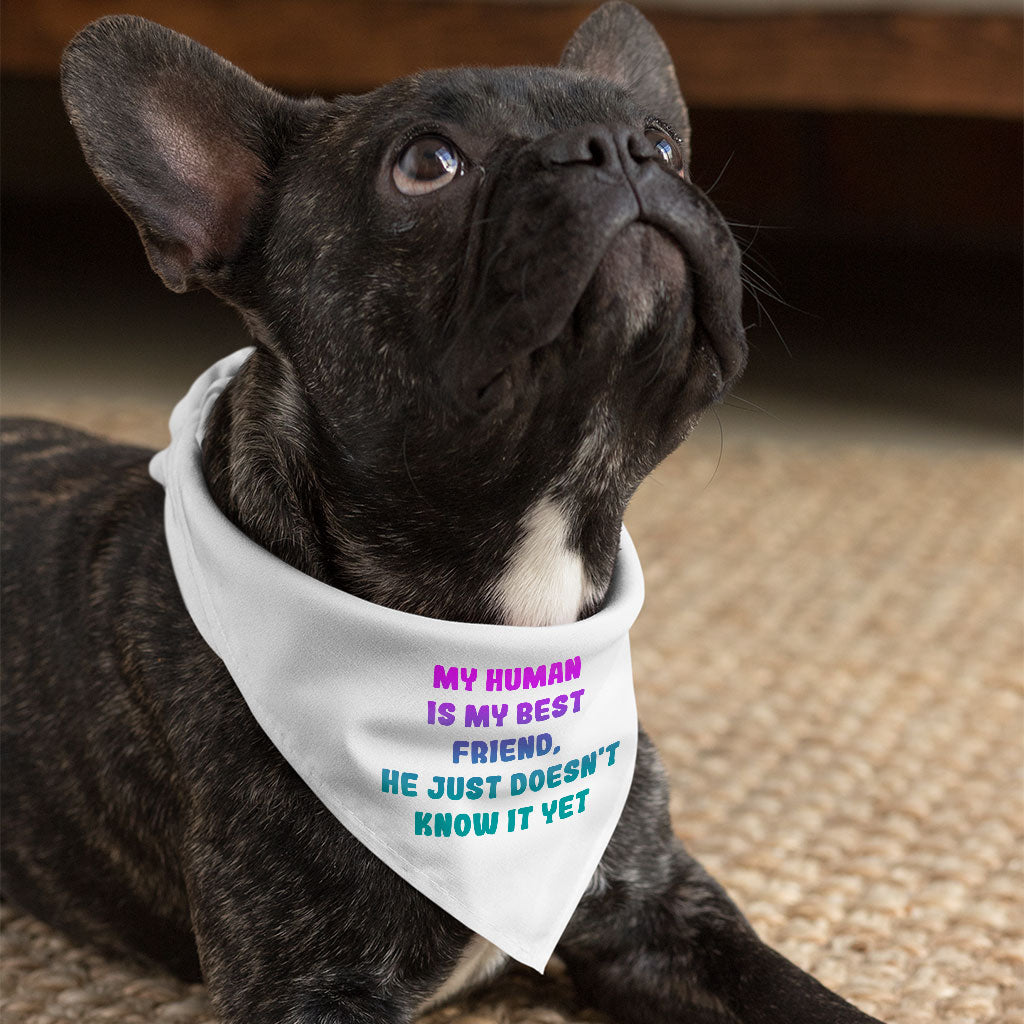 Cute Design Pet Bandana - Creative Dog Bandana - Quote Pet Scarf