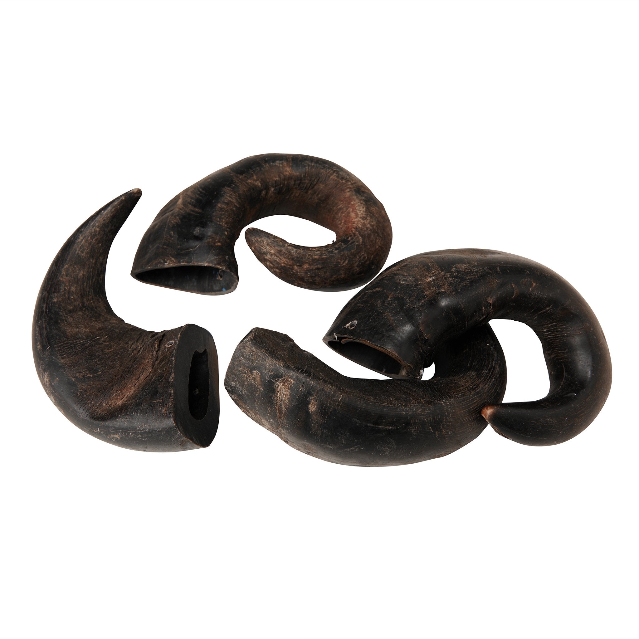 WATER BUFFALO HORN-100% Natural, Long-Lasting, Grain-Free,