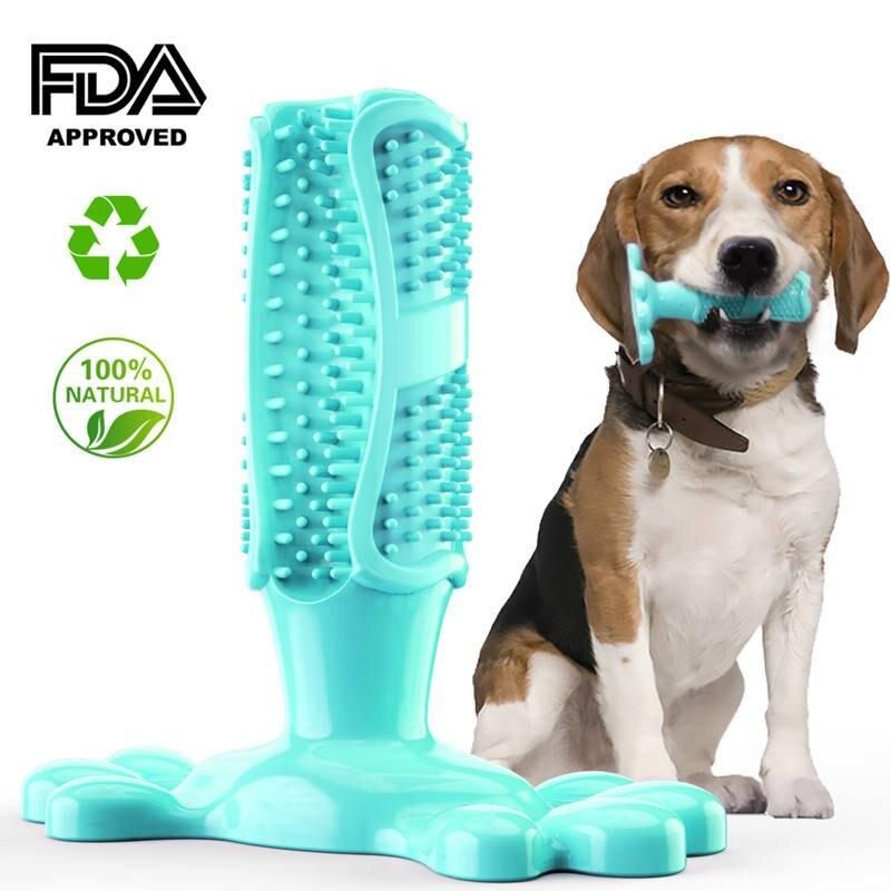 Chewable Toothbrush