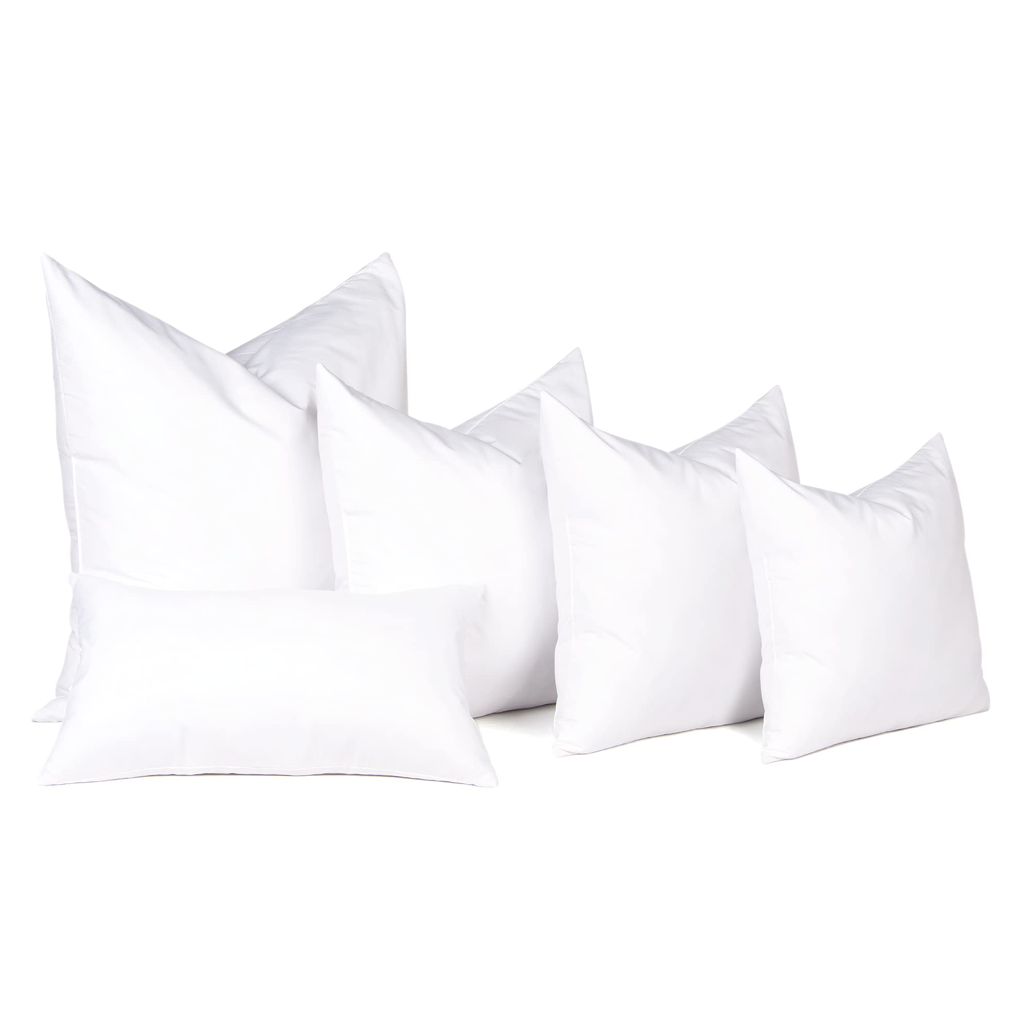 puredown PI-15002 Pillow, 2 Count (Pack of 1), Classic White