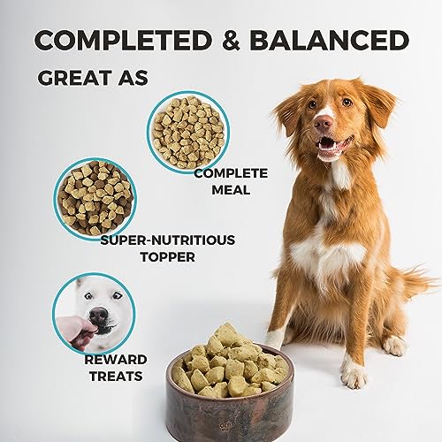 FURRY WONDER Freeze Dried Raw Dog Food Salmon and Cod Recipe 16 Ounce, Grain Free High Protein Dog Food for Complete Meal or Food Topper, USA Made Freeze Dried Raw Diet for Skin & Coat Vitalize