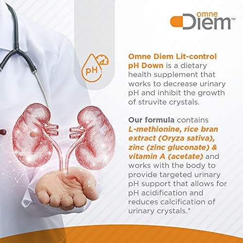 Omne Diem Lit-Control pH Down, 60 Capsules – Dietary Supplement for pH Acidification to Support Kidney & Urinary Tract Health