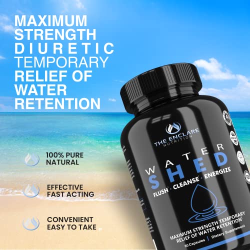 Water Pills Diuretic Water Retention, Liver Detox, Kidney Cleanse, Weight, Swelling, Bloating Relief. Green Tea, Cranberry, Apple Cider Vinegar, Dandelion Root, Vitamin B6, Chloride, Potassium (1)